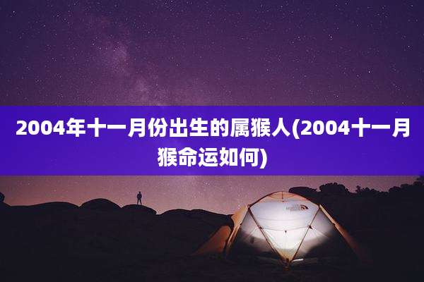 2004年十一月份出生的属猴人(2004十一月猴命运如何)