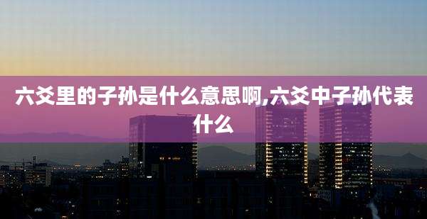 六爻里的子孙是什么意思啊,六爻中子孙代表什么