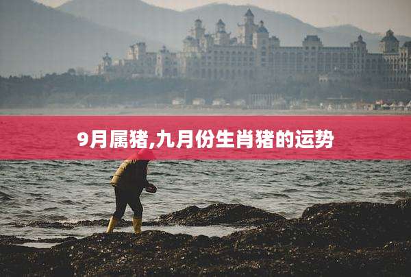 9月属猪,九月份生肖猪的运势