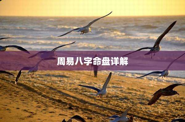 周易八字命盘详解