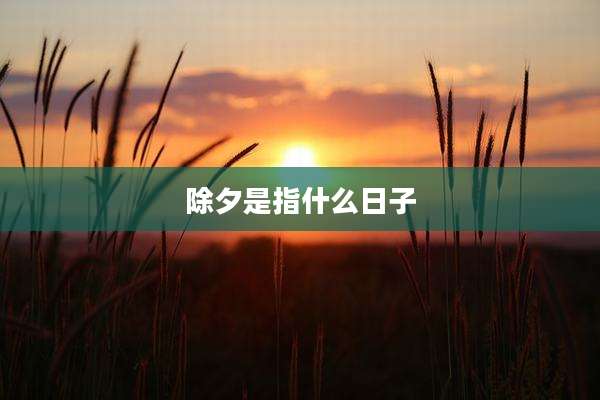 除夕是指什么日子