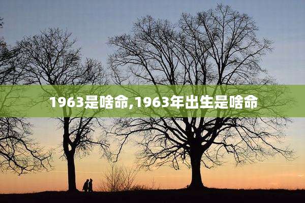 1963是啥命,1963年出生是啥命