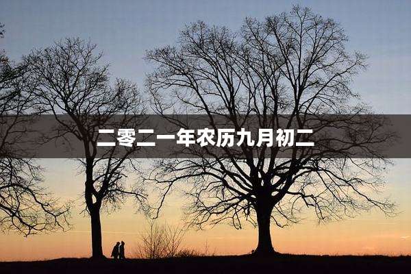 二零二一年农历九月初二