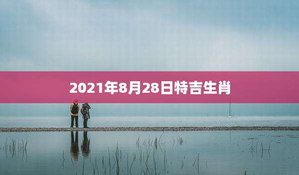 2021年8月28日特吉生肖