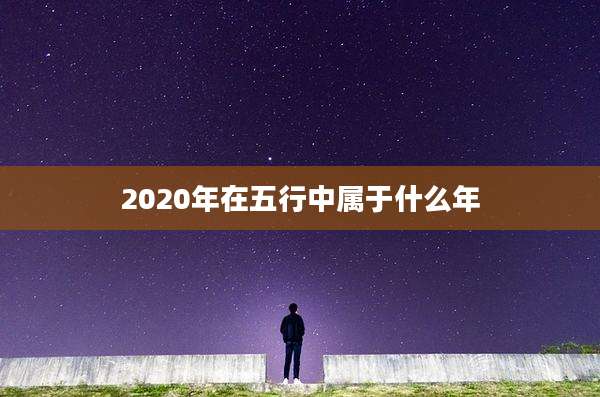 2020年在五行中属于什么年