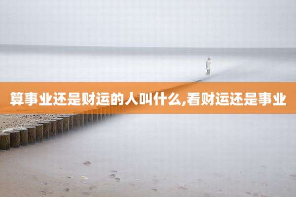 算事业还是财运的人叫什么,看财运还是事业