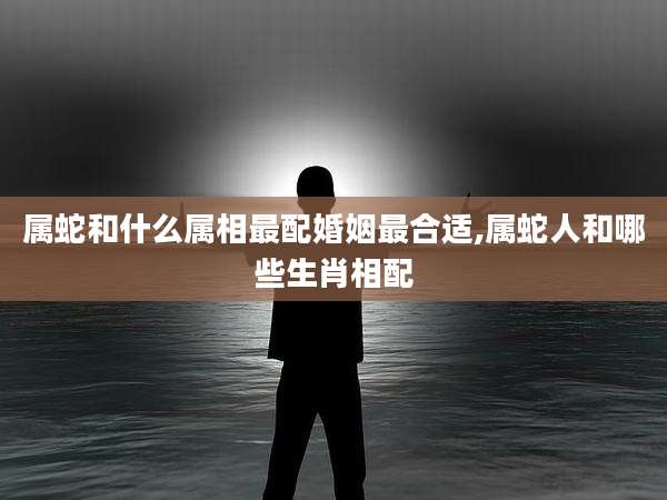 属蛇和什么属相最配婚姻最合适,属蛇人和哪些生肖相配