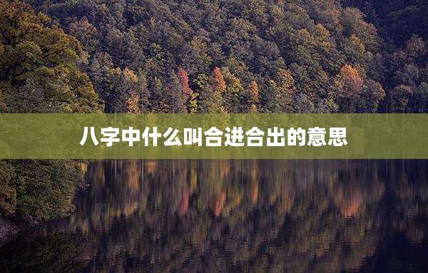 八字中什么叫合进合出的意思