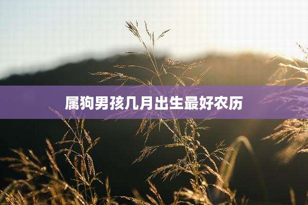 属狗男孩几月出生最好农历