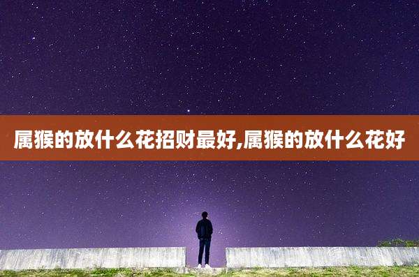 属猴的放什么花招财最好,属猴的放什么花好