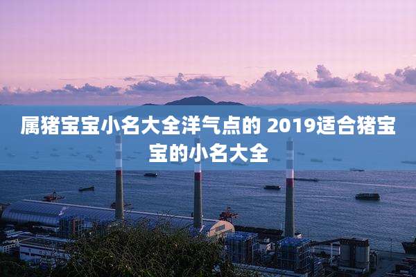 属猪宝宝小名大全洋气点的 2019适合猪宝宝的小名大全