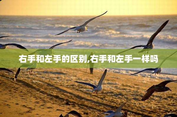 右手和左手的区别,右手和左手一样吗