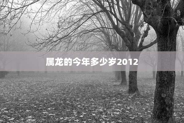 属龙的今年多少岁2012