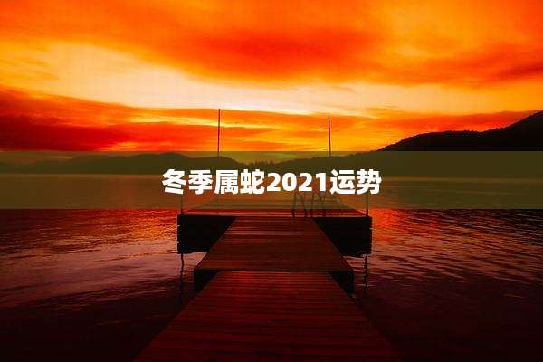 冬季属蛇2021运势