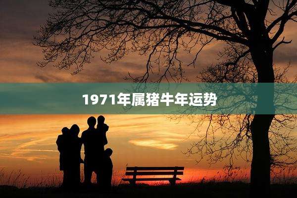 1971年属猪牛年运势