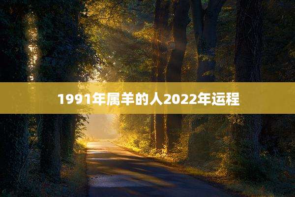 1991年属羊的人2022年运程