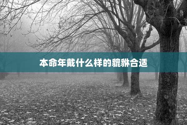 本命年戴什么样的貔貅合适