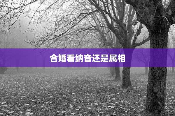 合婚看纳音还是属相