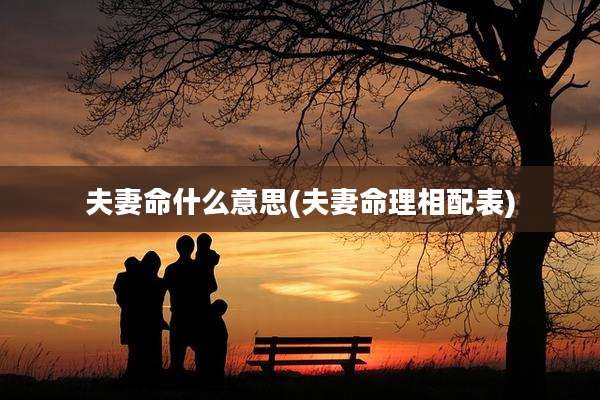 夫妻命什么意思(夫妻命理相配表)