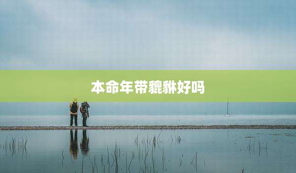 本命年带貔貅好吗