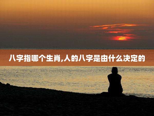 八字指哪个生肖,人的八字是由什么决定的