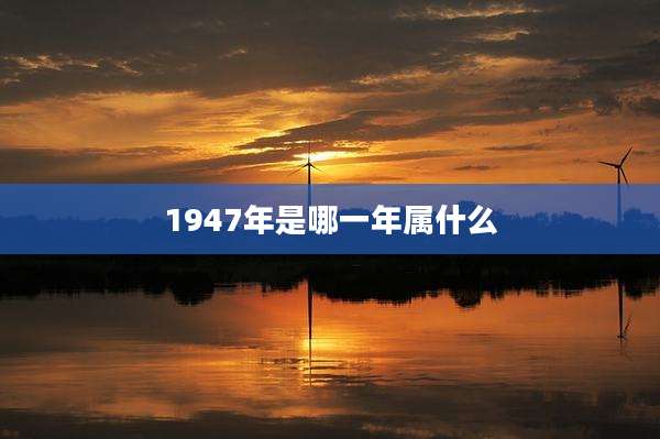 1947年是哪一年属什么