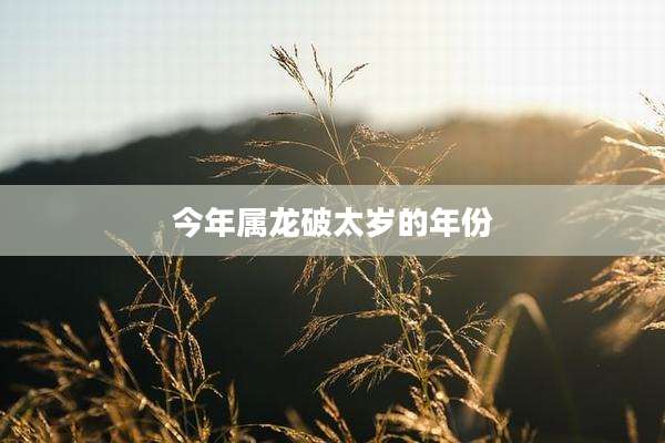 今年属龙破太岁的年份