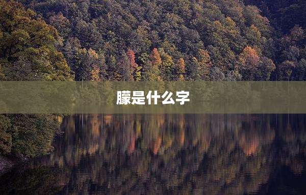 朦是什么字