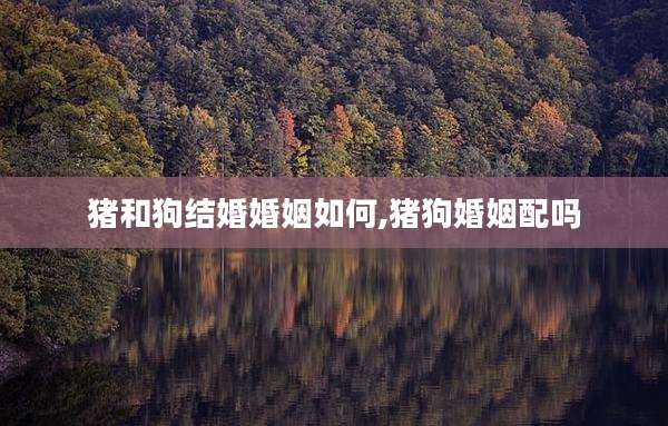 猪和狗结婚婚姻如何,猪狗婚姻配吗