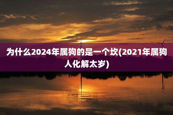 为什么2024年属狗的是一个坎(2021年属狗人化解太岁)