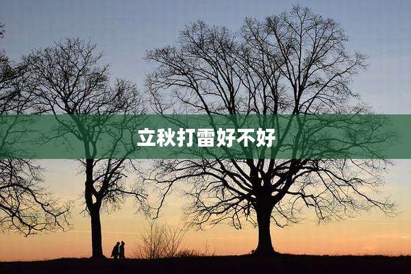 立秋打雷好不好