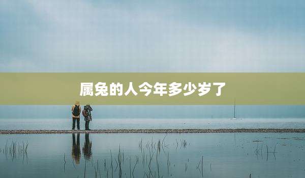 属兔的人今年多少岁了