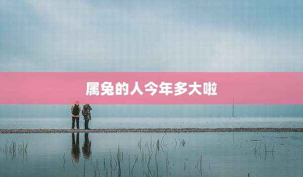 属兔的人今年多大啦