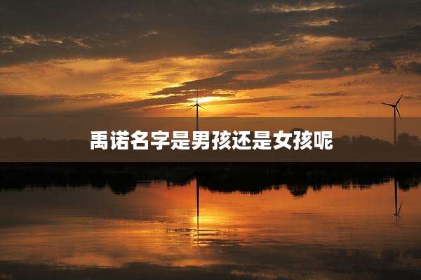 禹诺名字是男孩还是女孩呢