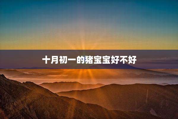 十月初一的猪宝宝好不好