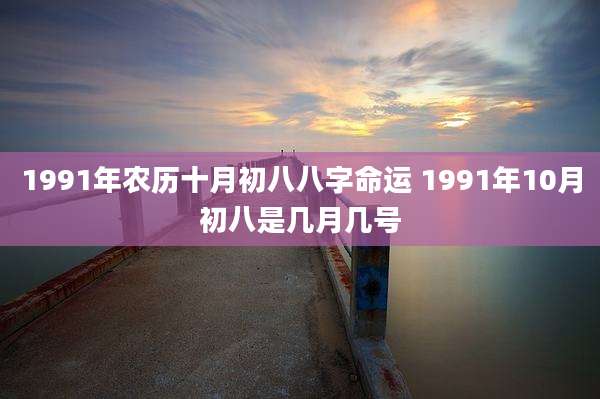 1991年农历十月初八八字命运 1991年10月初八是几月几号