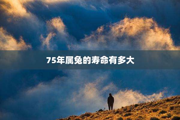 75年属兔的寿命有多大