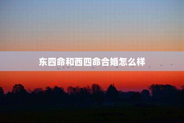 东四命和西四命合婚怎么样