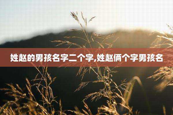 姓赵的男孩名字二个字,姓赵俩个字男孩名