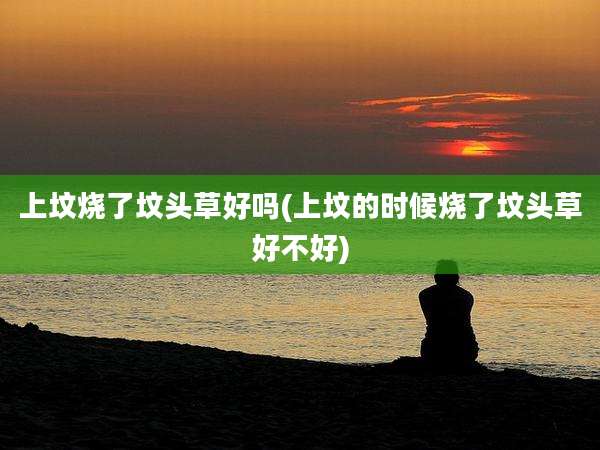 上坟烧了坟头草好吗(上坟的时候烧了坟头草好不好)