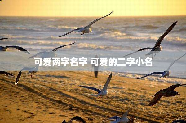 可爱两字名字 可爱的二字小名