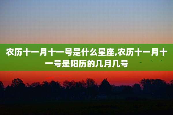 农历十一月十一号是什么星座,农历十一月十一号是阳历的几月几号