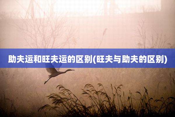 助夫运和旺夫运的区别(旺夫与助夫的区别)