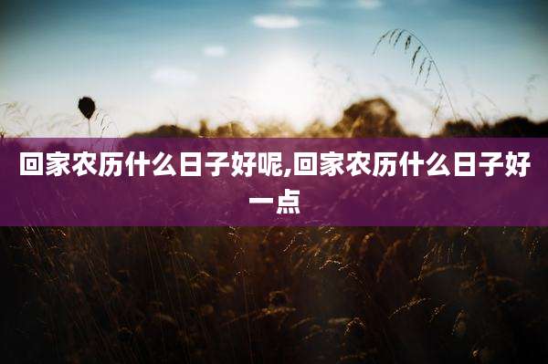回家农历什么日子好呢,回家农历什么日子好一点