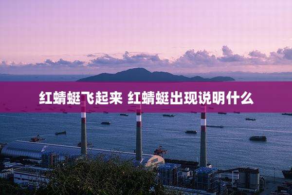 红蜻蜓飞起来 红蜻蜓出现说明什么