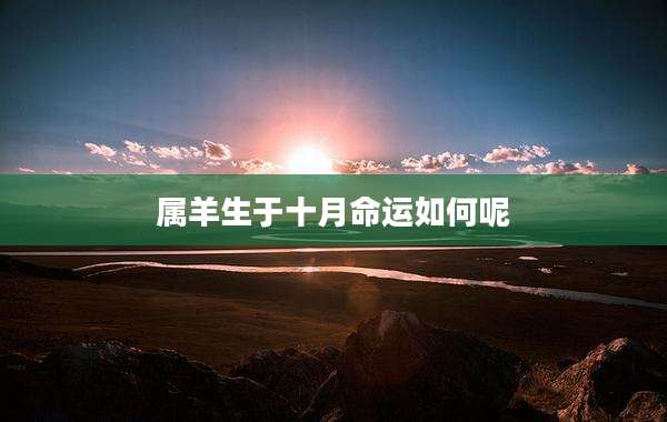 属羊生于十月命运如何呢