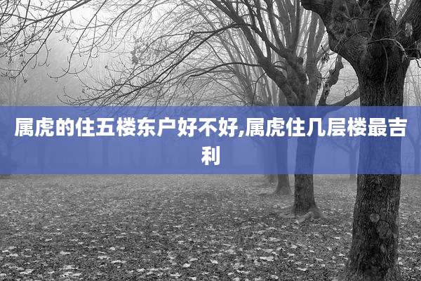 属虎的住五楼东户好不好,属虎住几层楼最吉利