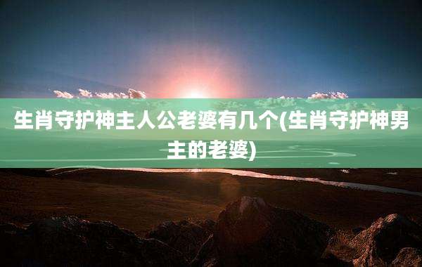 生肖守护神主人公老婆有几个(生肖守护神男主的老婆)