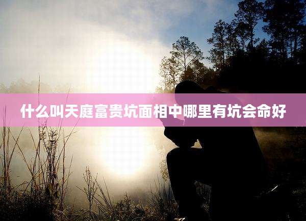什么叫天庭富贵坑面相中哪里有坑会命好