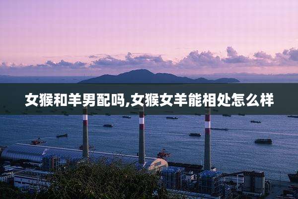 女猴和羊男配吗,女猴女羊能相处怎么样